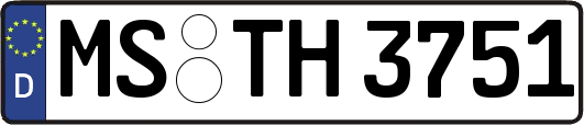 MS-TH3751