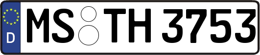 MS-TH3753