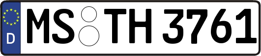 MS-TH3761
