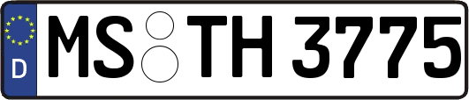 MS-TH3775