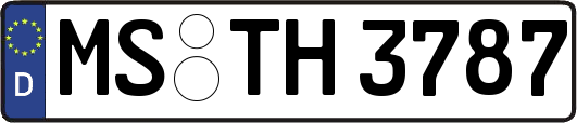 MS-TH3787