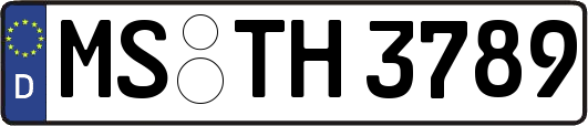 MS-TH3789