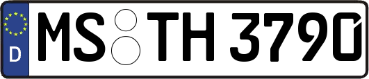 MS-TH3790