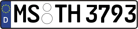 MS-TH3793