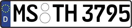 MS-TH3795