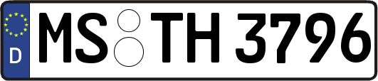 MS-TH3796