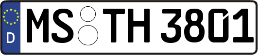 MS-TH3801