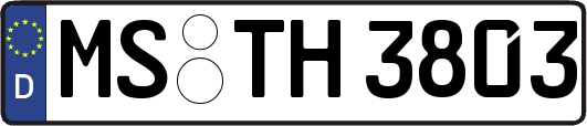 MS-TH3803