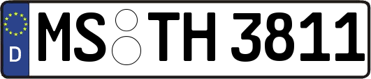 MS-TH3811