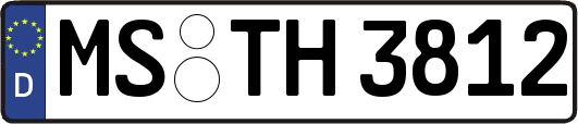 MS-TH3812