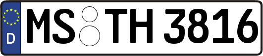 MS-TH3816