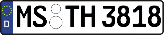 MS-TH3818