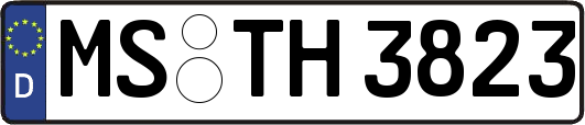 MS-TH3823
