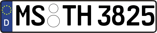 MS-TH3825