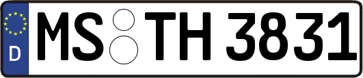 MS-TH3831