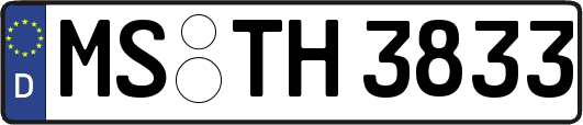 MS-TH3833