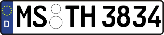 MS-TH3834