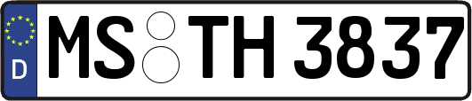 MS-TH3837