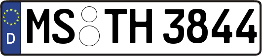 MS-TH3844