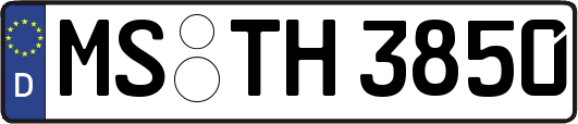 MS-TH3850
