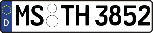 MS-TH3852