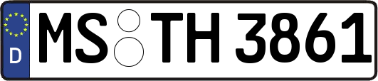 MS-TH3861