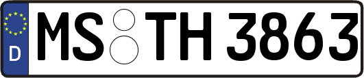 MS-TH3863