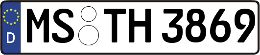 MS-TH3869
