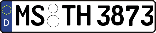 MS-TH3873