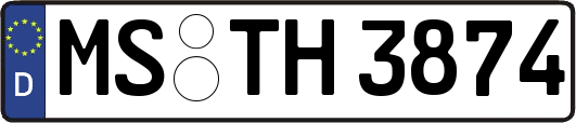 MS-TH3874