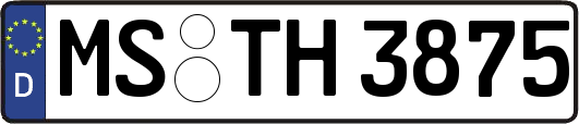 MS-TH3875