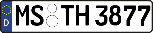 MS-TH3877