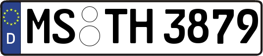 MS-TH3879