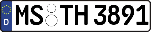MS-TH3891