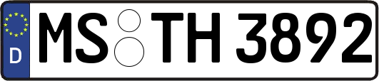 MS-TH3892