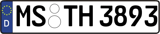 MS-TH3893