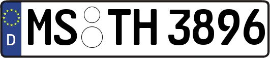 MS-TH3896