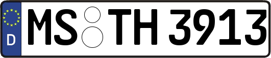 MS-TH3913