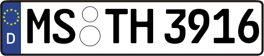 MS-TH3916