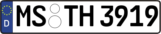MS-TH3919