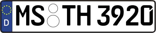 MS-TH3920