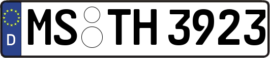 MS-TH3923