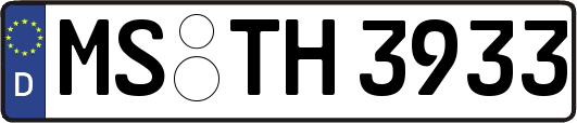 MS-TH3933