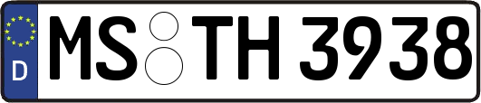 MS-TH3938
