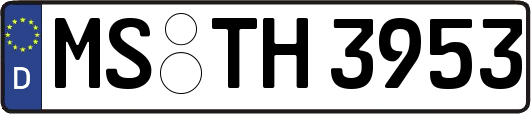 MS-TH3953