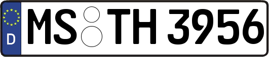 MS-TH3956