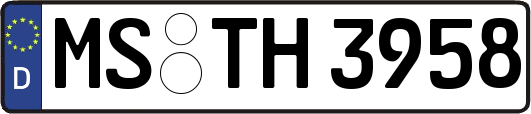 MS-TH3958