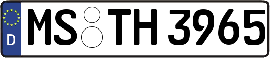 MS-TH3965