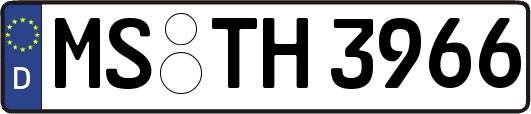 MS-TH3966