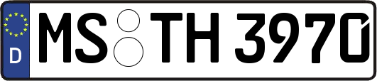 MS-TH3970